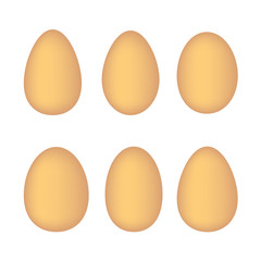 set of eggs on white background