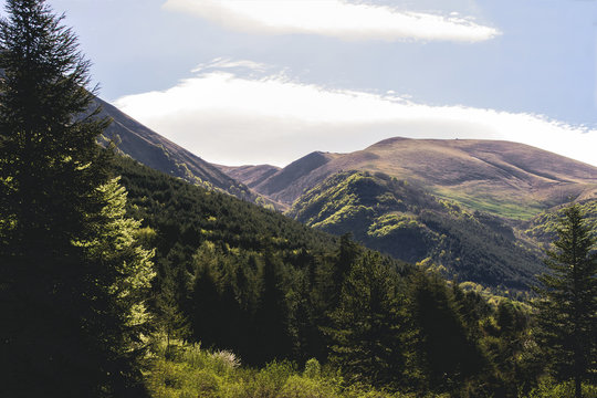 Un panorama che ruba