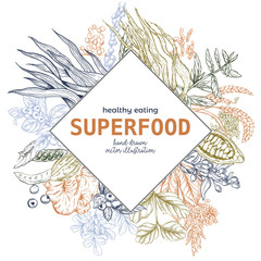 Superfood rhombus banner, color vector illustration