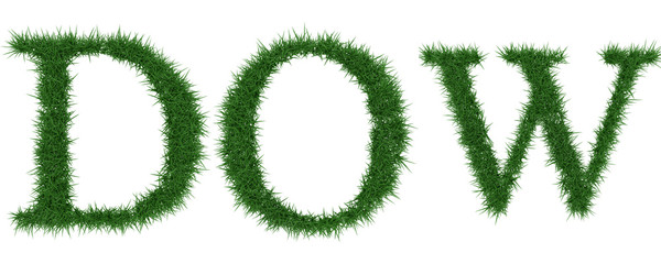 Dow - 3D rendering fresh Grass letters isolated on whhite background.