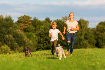 Obraz premium mother runs with her boy and two small dog on a meadow