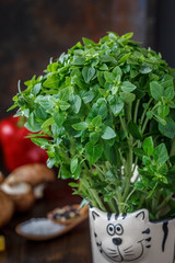 Bazil leaves on kitchen