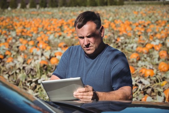 Farmer using digital tablet in pumpkin field