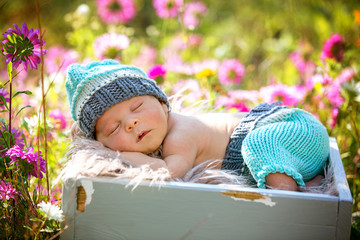 Cute newborn baby boy, sleeping peacefully in basket in garden