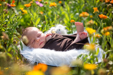 Cute newborn baby boy, sleeping peacefully in basket in garden © Tomsickova