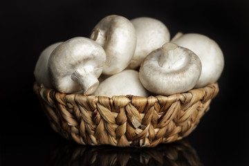 Mushrooms champignons in a wicker basket on a black background