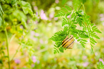 Fisherman on the canal bank 