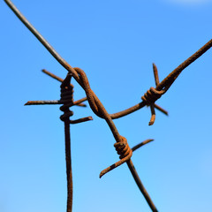 Barbed wire on the cloudless sky background. Close-up