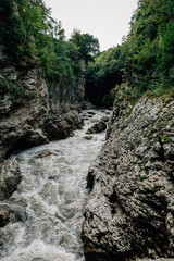 Obraz premium Mountain river in the canyon of gray stone and forest, natural hipster landscape
