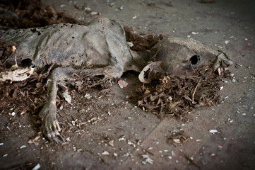 A Final Resting Place