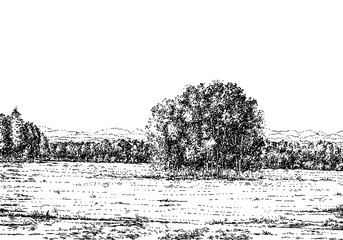 Russian nature 010