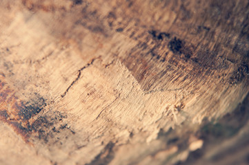 Close shot of a piece of firewood showing texture and grain. Shallow depth of field.