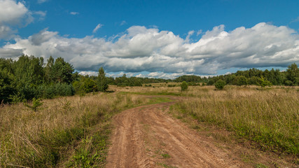 Fototapeta premium rural dirt road through the summer field with dry high grass and bushes under the blue cloudy sky