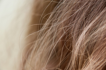 Brunette or light brown hair with focus on individual strands.
