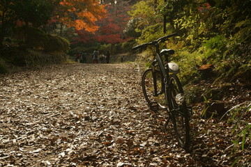 Fototapeta na wymiar bicycle with fallen leaves