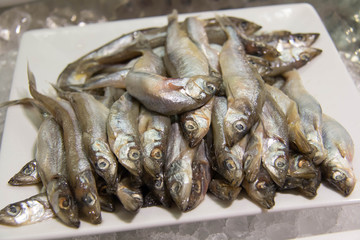 Shishamo fish