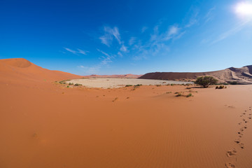Fototapeta na wymiar The scenic Sossusvlei and Deadvlei, clay and salt pan surrounded by majestic sand dunes. Namib Naukluft National Park, main visitor attraction and travel destination in Namibia.