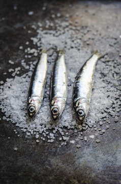 Anchovy placed on salt against wooden background