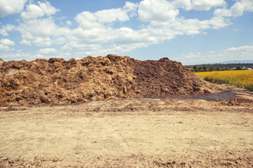 Pile of manure in the countryside with blue cloudy sky. Heap of dung in field on the farm yard with village in background. Traditional rural scene in black and white. Slovak landscape