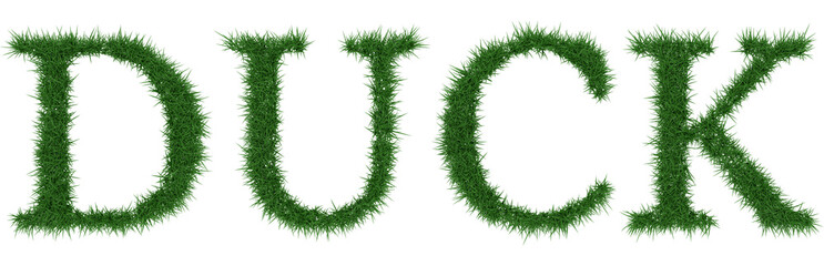 Duck - 3D rendering fresh Grass letters isolated on whhite background.