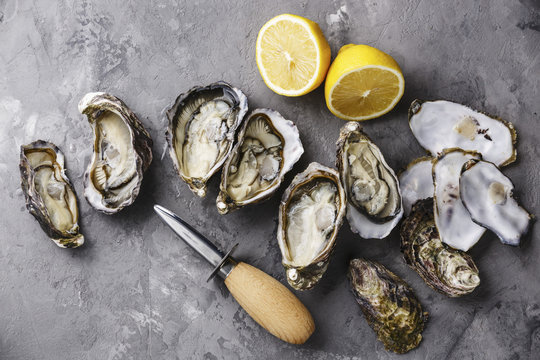 Open Oysters, lemon and knife on concrete background