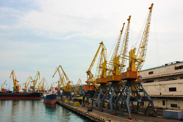 Fototapeta na wymiar Large cargo cranes at the seaport, on the coast.