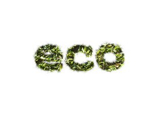 Eco word typed by grass