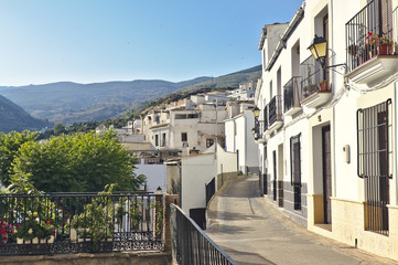 Fototapeta na wymiar White villages of Andalucia.