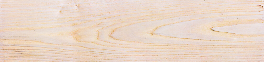 Fototapeta na wymiar the texture of raw wood, tinted panoramic photo, big size
