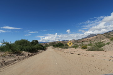 route 40, cordillère des andes, argentine