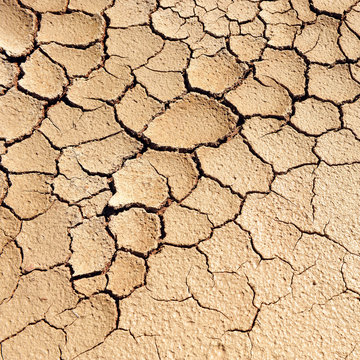 Land cracked by extreme drought, effects of climate change
