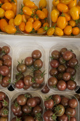 Tomaten