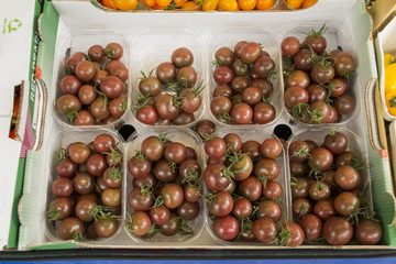Tomaten