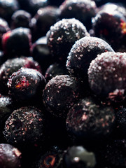 Close up of frozen blueberries