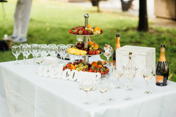 Wedding reception before the exit ceremony