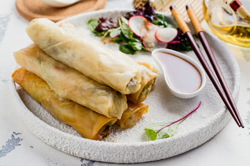 Fried spring rolls with vegetables, duck meat and noodle on white stone table. Copy space. Top view