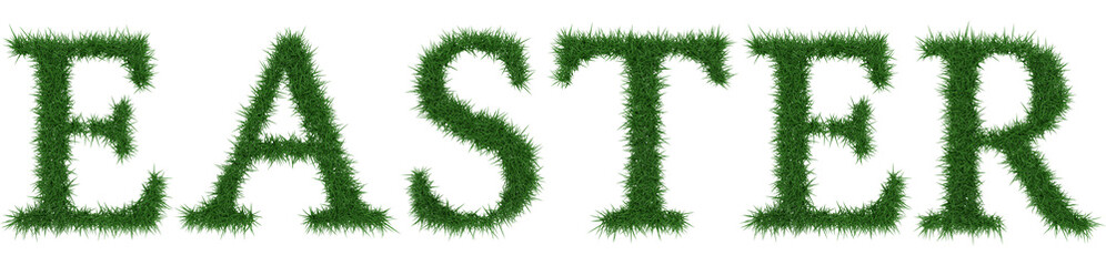 Easter - 3D rendering fresh Grass letters isolated on whhite background.