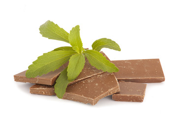 stevia