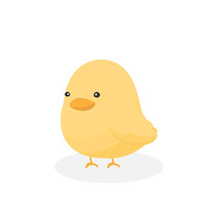 Adorable little baby chicken in flat style. Cute chick cartoon. Vector illustration