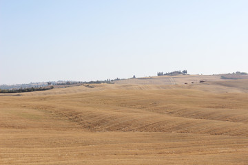 Fototapeta premium Campi nelle crete senesi
