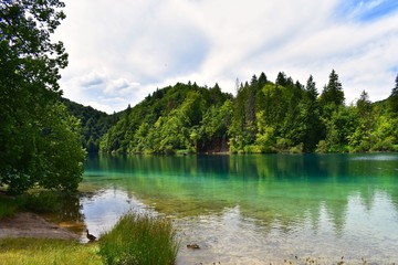 Fototapeta premium view on Cristal green lake in forest trees on background 