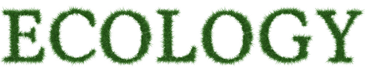 Ecology - 3D rendering fresh Grass letters isolated on whhite background.