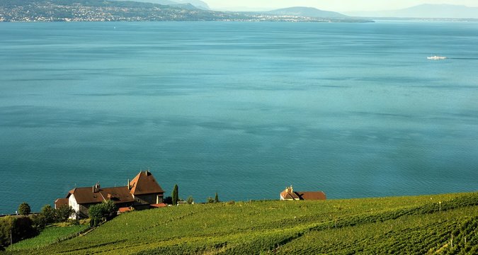le lavaux vu d'un train