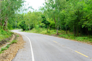 Fototapeta na wymiar Landscape of empty asphalt curved road through the green forest with line for direction on the way. country road in thailand. road trip, route to success, travel or endeavor abstract concept.