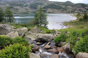 Алтай
