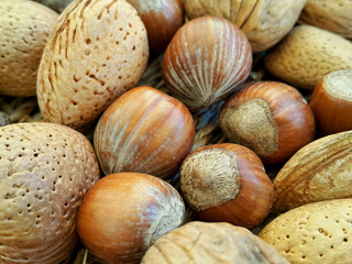 Mix of different types nuts