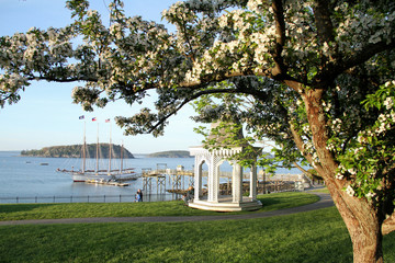 Bar Harbor Waterfront Spring 2016