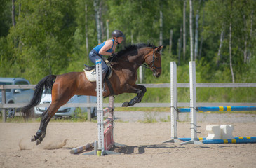 Horsejump