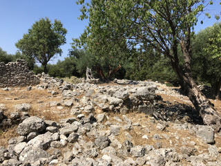 Ruins of the Ancient Sami in a forest in Kefalonia in Greece.