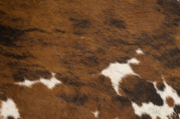 Textura de pele de vaca marrom com branco